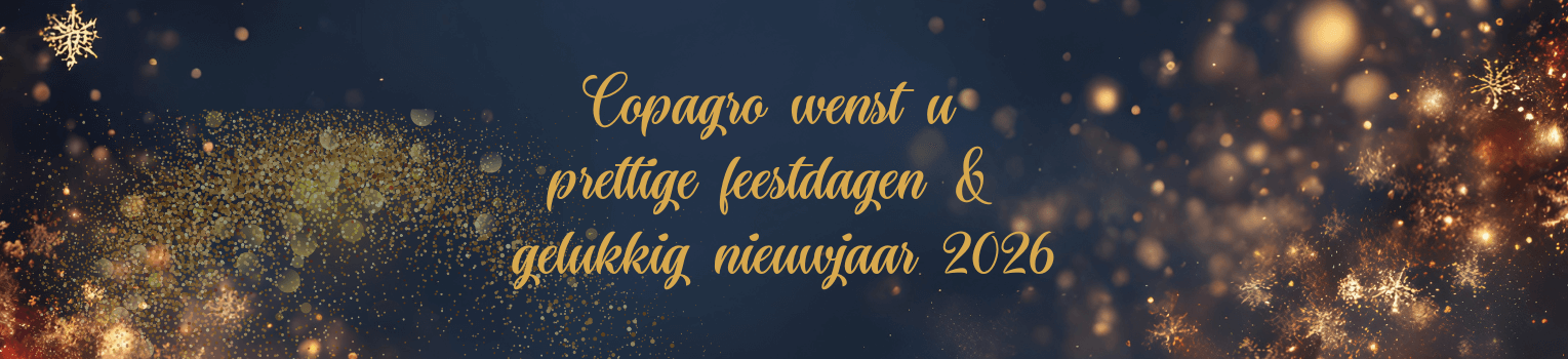 /data/pam/public/slider/slider_website_feestdagen_benl-nl.png